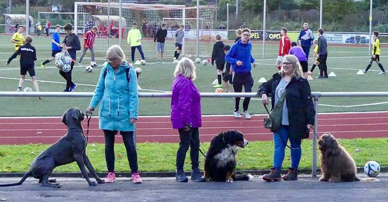Hundeschule und Welpenschule Dortmund - Hundeführerschein